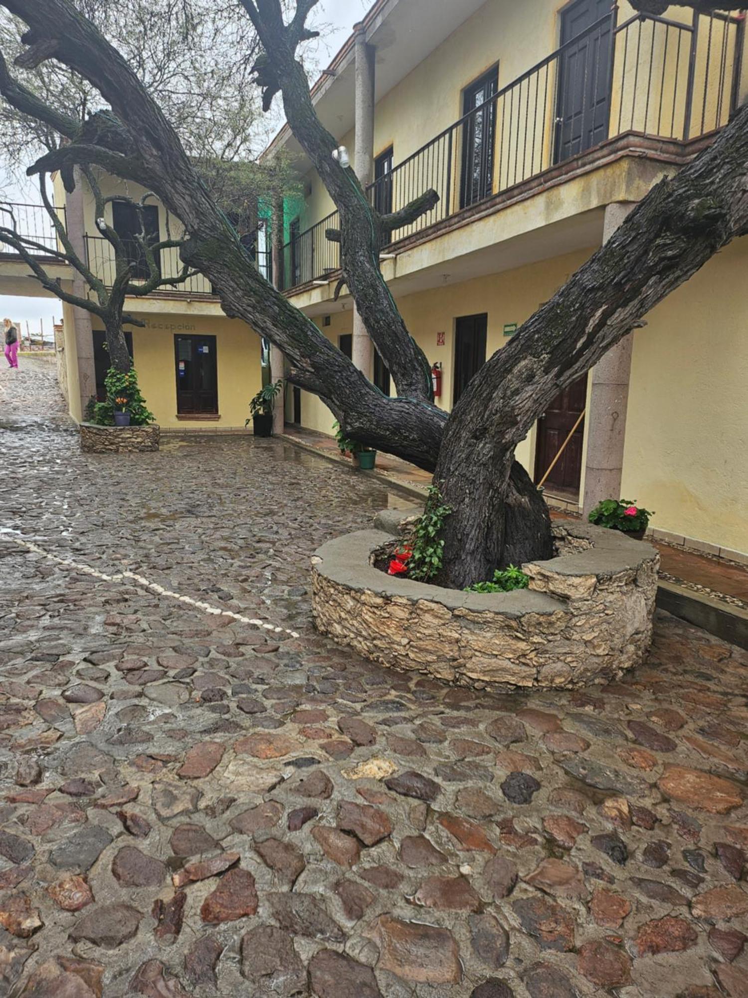 Hotel Villa Aurora Bernal Exterior photo